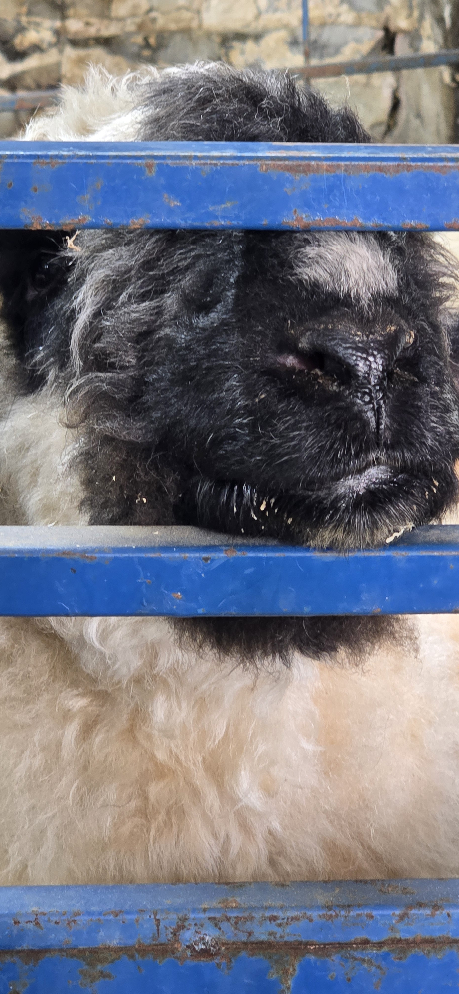 Get Ready for a Flavorful November with Humming Hills Farm!