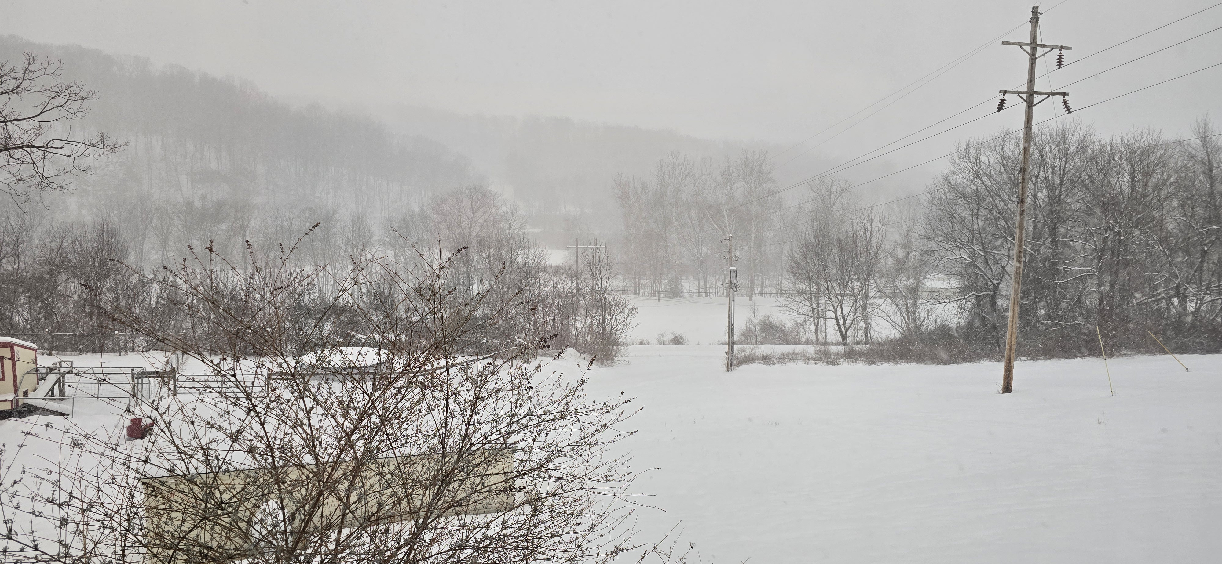 A Season of Family, Farm, and Fresh Focus